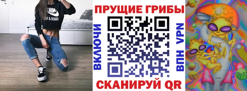 Галлюциногенные грибы мицелий  даркнет как зайти  Болхов 